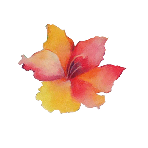 �x�W�Ӫ���c